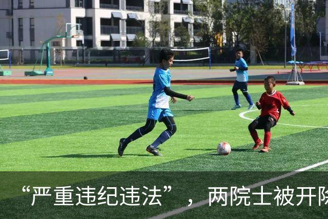 “严重违纪违法”，两院士被开除党籍