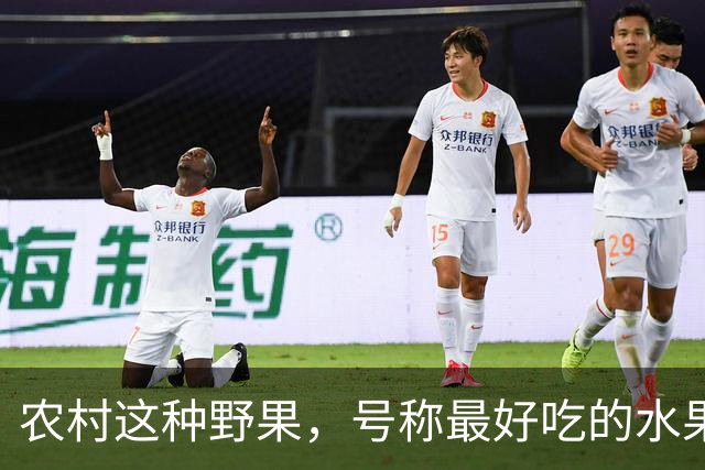 农村这种野果，号称"最好吃的水果"！插土就活，院子种几颗吃不完
